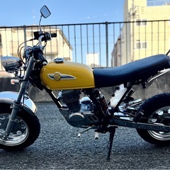 エイプ100 ロンスイ　カスタム多数の画像