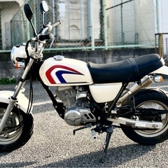 『人気』白色　エイプ100 ヨシムラマフラーの画像