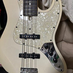 Bacchus WJB-330R SW
  の画像