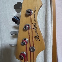 Bacchus WJB-330R SW
  の画像