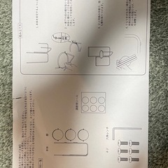 【観葉植物】スリーコインズ/インテリアの画像