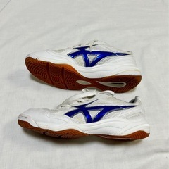 25センチ 体育館シューズ ホワイト スニーカーの画像