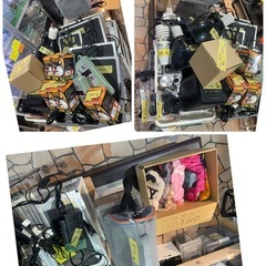 爬虫類、小動物用品沢山入荷しました。