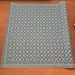 ビニールラグ　120-180の画像