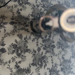 　シュマイザーの画像