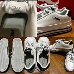 PUMA プーマ スニーカー コート クラシック バルク 25.0cmの画像