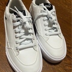 PUMA プーマ スニーカー コート クラシック バルク 25.0cmの画像