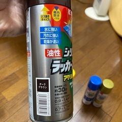 (受け渡し者決定)ラッカースプレーセットの画像