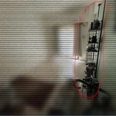 突っ張り壁面収納（Nポルダ）の画像