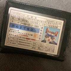 なめ猫　　免許証　初期オリジナル品の画像