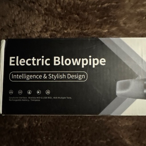 Electric Blowpipe　電子楽器