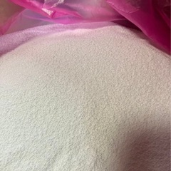 ニトリ　ビーズクッション　中身のみの画像