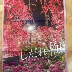 ナガシマスパーランド入場券・乗り放題付き
の画像