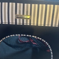 ワンちゃん用キャリーバッグ　差し上げますの画像