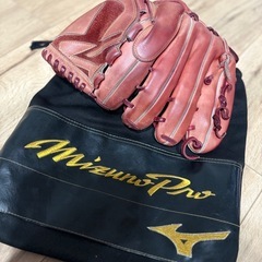 ミズノプロオーダーグローブ（軟式）の画像