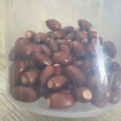 どんぐり　煮沸済みの画像