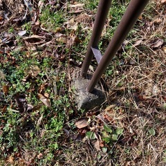 物干し台　無料の画像