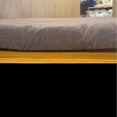 (新品)ポコポコウレタンマットレスの画像