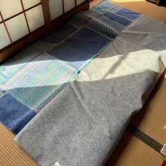 ホットカーペット用カバー　じゅうたん185✖️205センチ　ホットカーペットはありませんの画像
