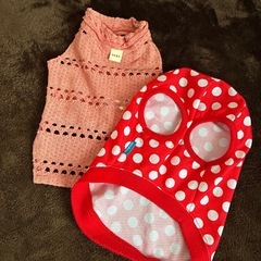 可愛いドッグウエア6点セット！の画像