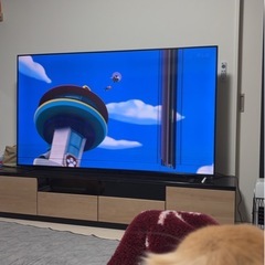 【ジャンク品】REGZA 　75インチ　テレビの画像