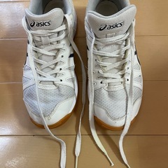 体育館シューズ　　　　25センチの画像