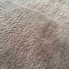 カーペットの画像