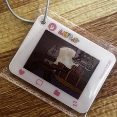 んぽちゃむ　ぬいぐるみ　キーホルダーサイズ　未使用保管品の画像