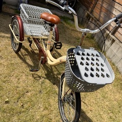 大人用　三輪車の画像