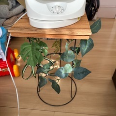 サーキュレーター置き
の画像