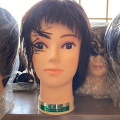 頭部ウィッグの画像