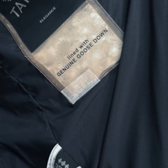 タトラスダウンジャケットの画像