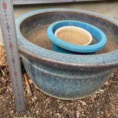 大きい植木鉢（直径約60cm）無料で差し上げますの画像