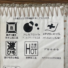  190×190むじのラグ ソル 住江織物 ウォッシャブルの画像