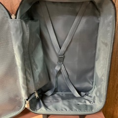 キャリーバッグの画像