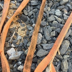 スリング　セットの画像