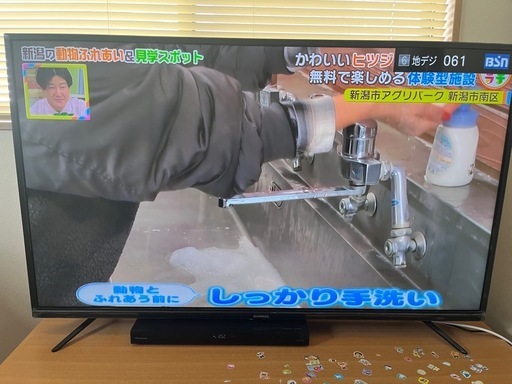 サンライズ 50インチ テレビ | ヤマダウェブコム