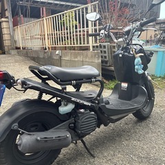 HONDA   ZOOMER
の画像