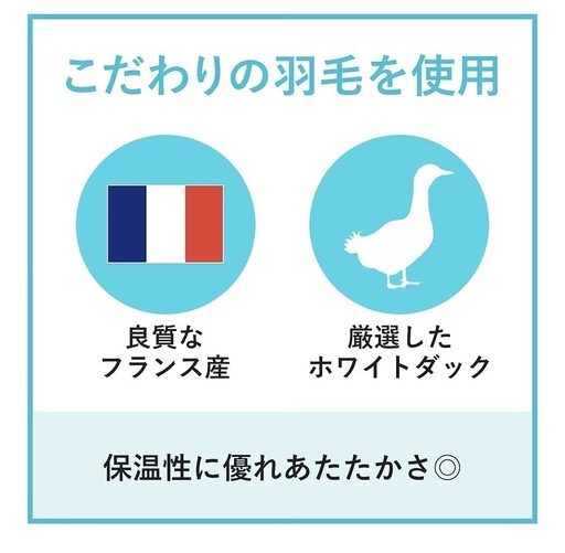 羽毛布団、ダウン布団、掛け布団、フェザー布団、本掛け布団、合掛け布団、肌掛け布団、中綿布団 duvet