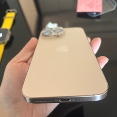 【美品･apple純正ケース付】iPhone16 ProMax 256GB デザートチタニウム SIMフリー Appleストア購入の画像