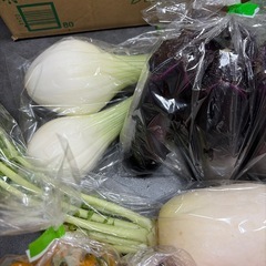 高知やすらぎ市購入　やさいセットの画像