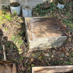 西洋ミツバチの巣箱の画像