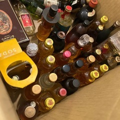 酒、ブランデー、ウイスキーの小瓶　の画像