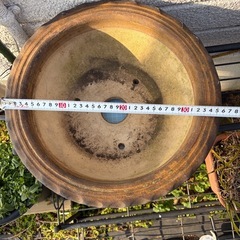 ⑩盆栽鉢 植木鉢の画像