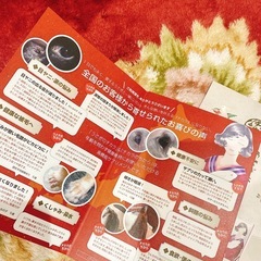 うさぎのチカラ★チカラのちから★お試し品の画像