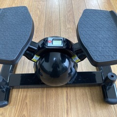 ツイストステッパー ルネサンス SP-400 の画像