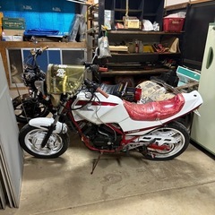 ホンダ  vt250f 
MC08 250cc 旧車の画像