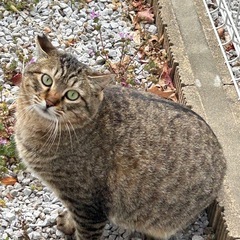 ⭐️ボクのお母さんになってください⭐️