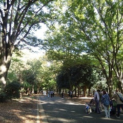 今から代々木公園で会える人！