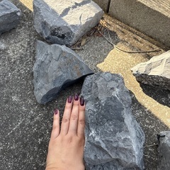 🪨大きな石あげます🪨の画像